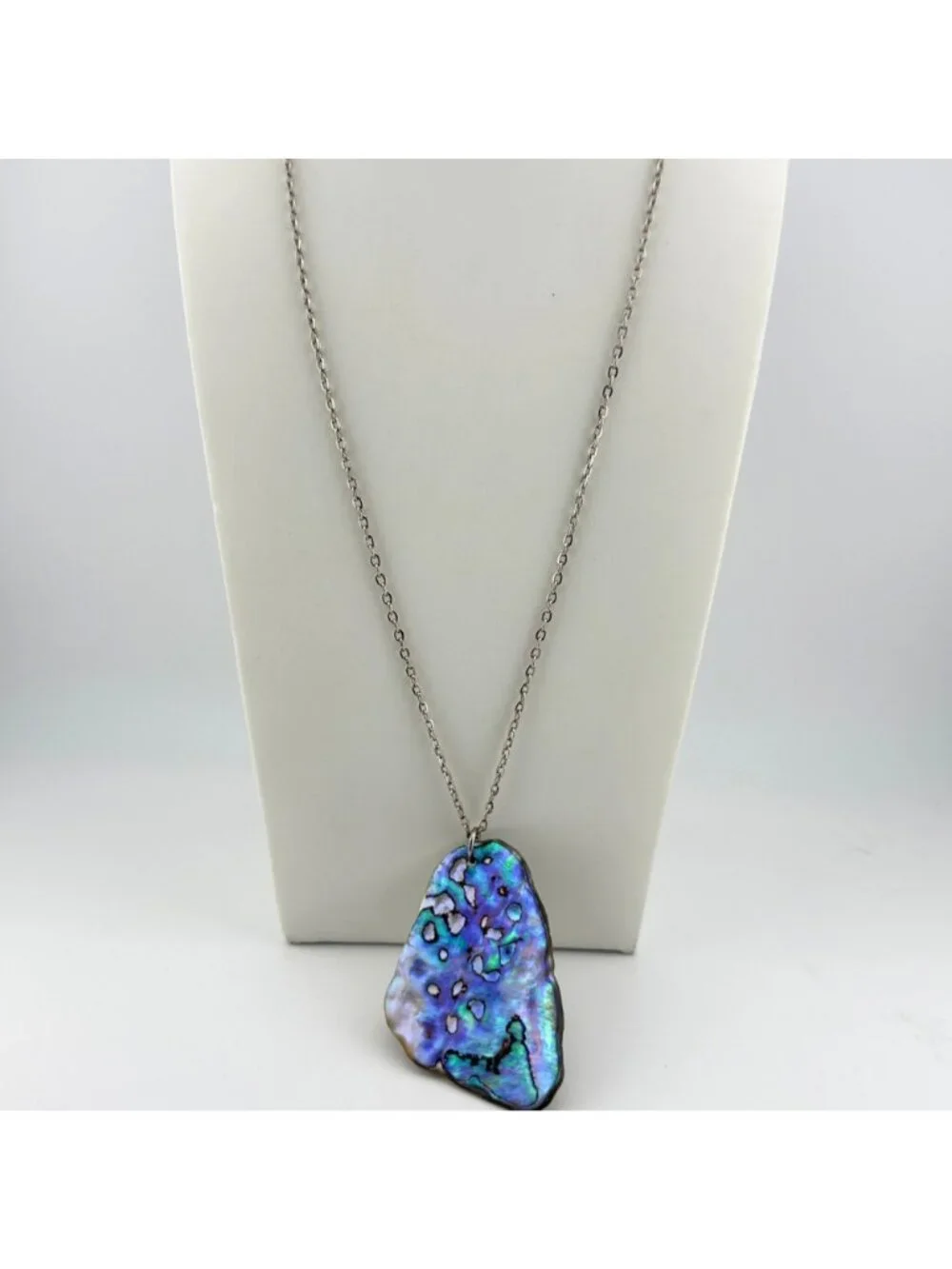 Natural Abalone Shell Pendant Necklace Silver Tone Chain Iridescent 24